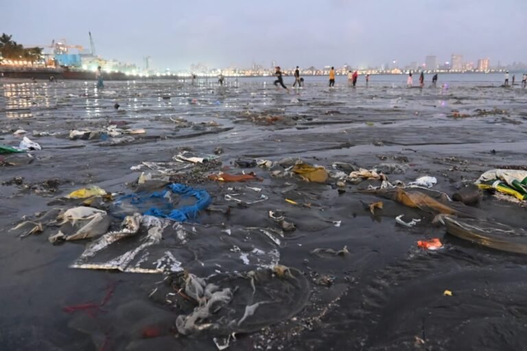 प्लास्टिक प्रदूषण -संपूर्ण विश्व के लिए चुनौती